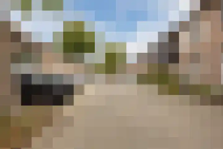 Schepenhoek 213 Uden thumbnail 8