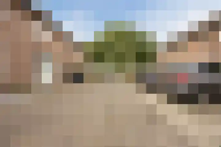 Schepenhoek 213 Uden thumbnail 9
