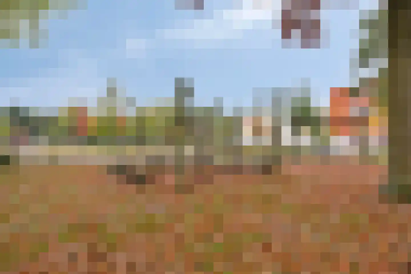 Schepenhoek 215 Uden thumbnail 28