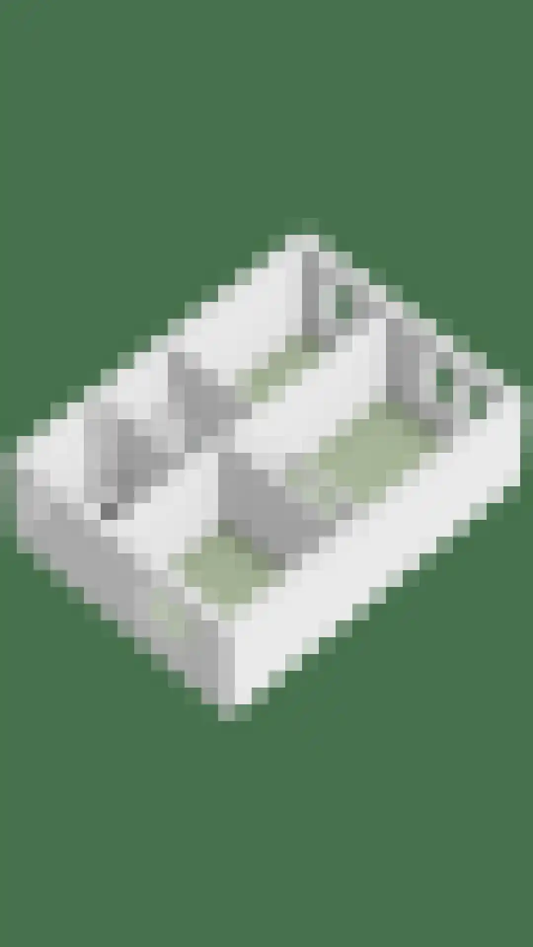 Schepenhoek 215 Uden thumbnail 31