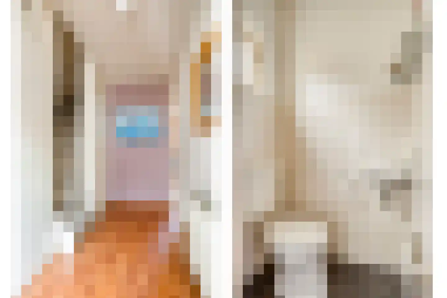 Schepenhoek 215 Uden thumbnail 7
