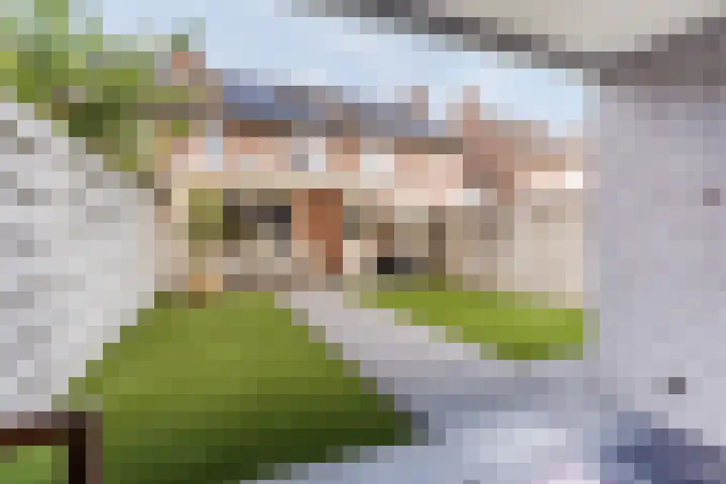 Schepenhoek 223 Uden thumbnail 52