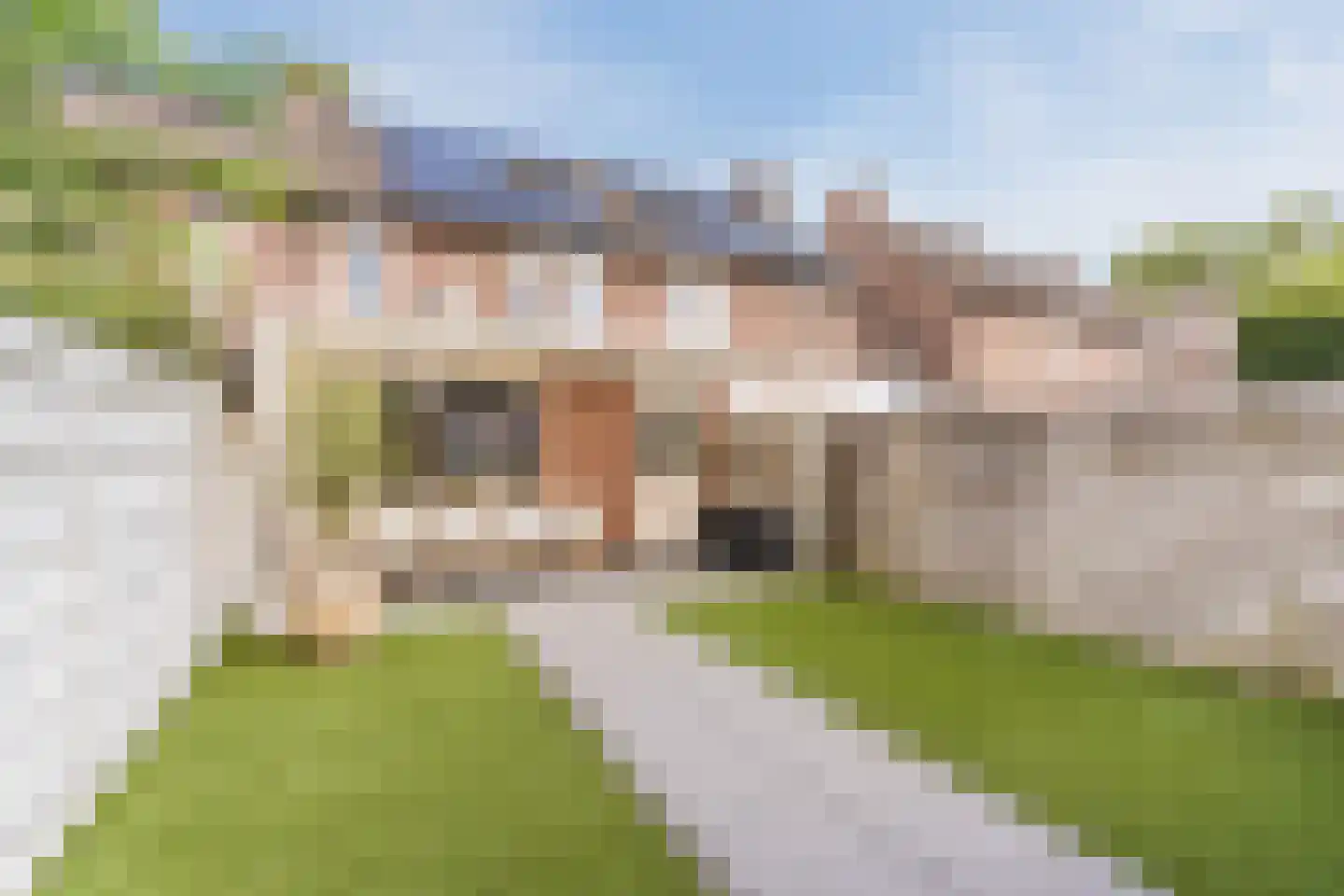 Schepenhoek 223 Uden thumbnail 53