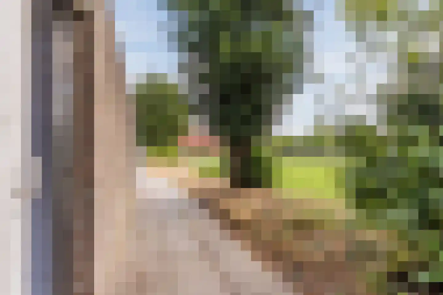 Schepenhoek 223 Uden thumbnail 55