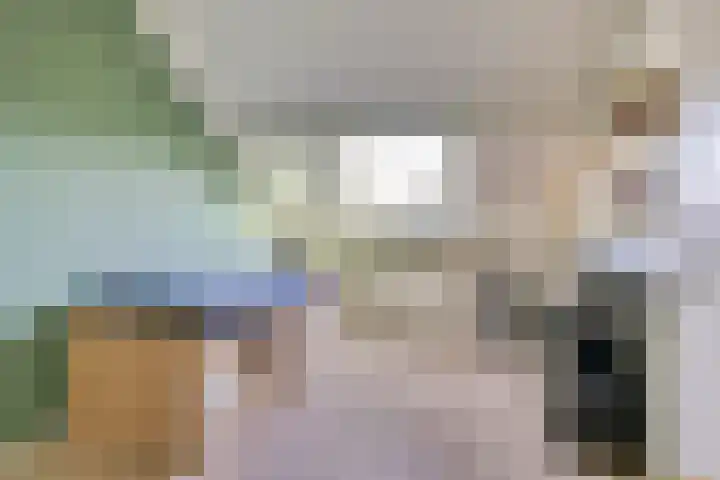 Schepenhoek 230 Uden thumbnail 21