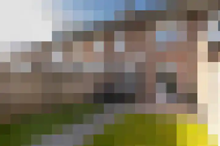Schepenhoek 230 Uden thumbnail 24