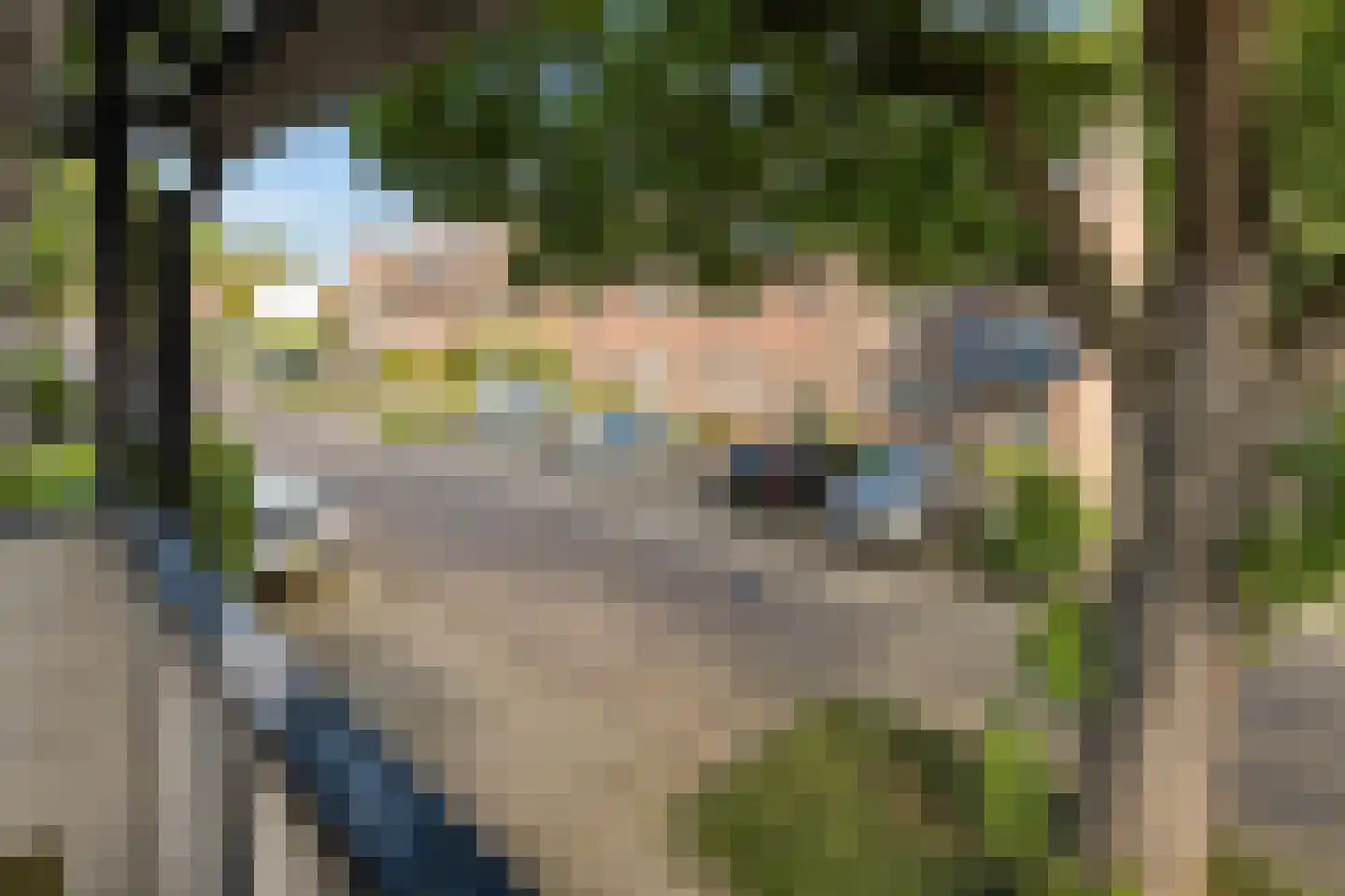 Schepenhoek 317 Uden thumbnail 21