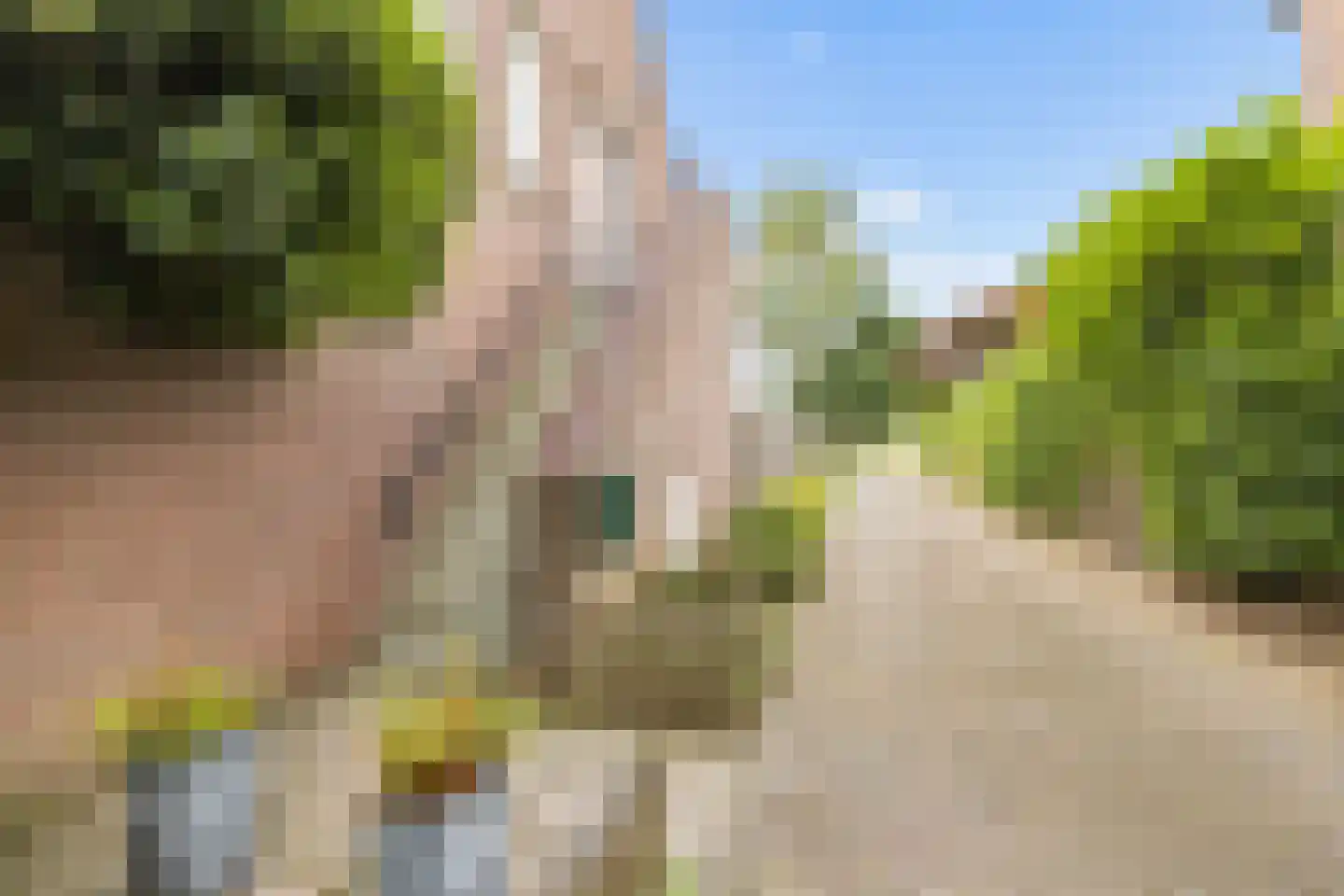 Schepenhoek 317 Uden thumbnail 7