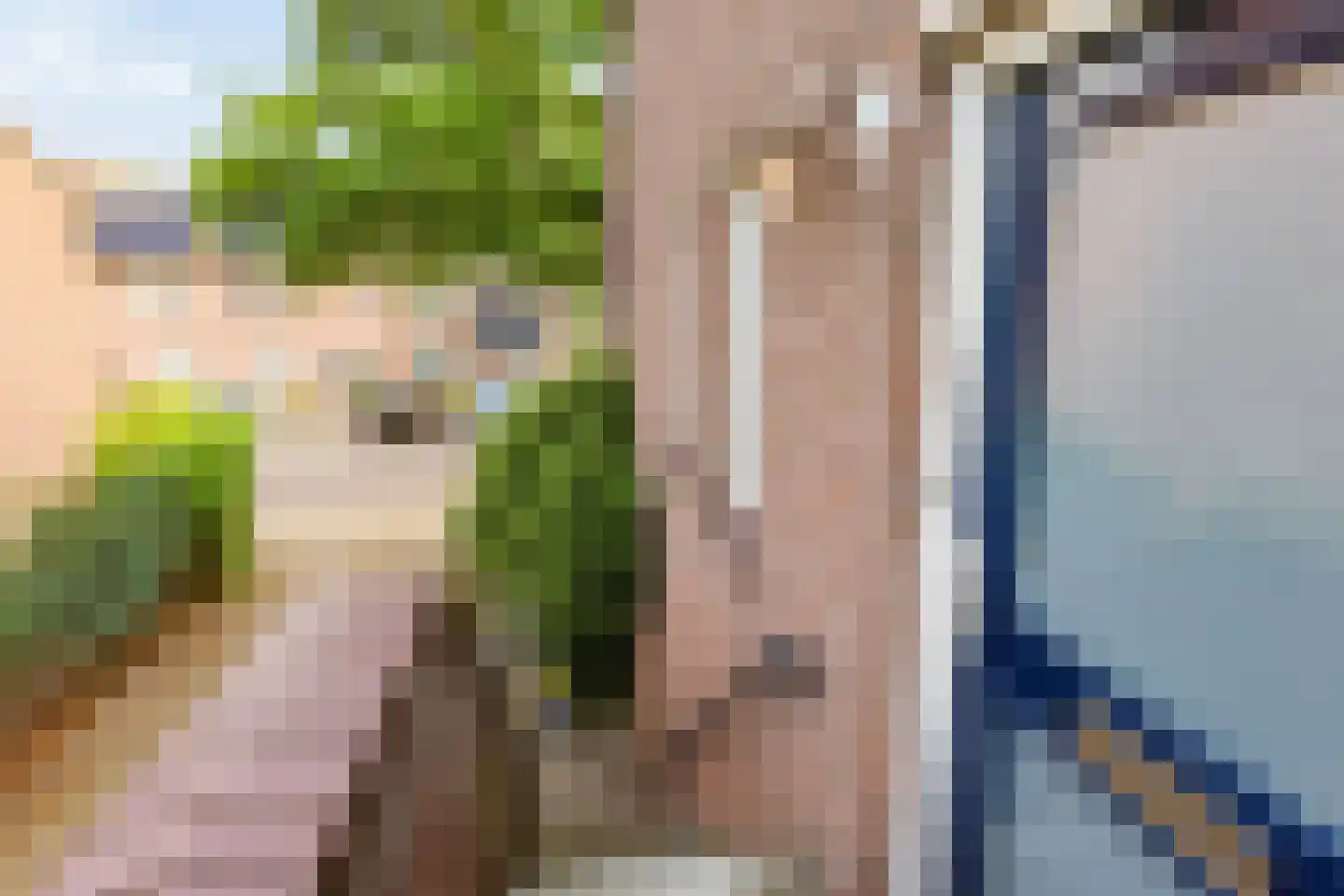 Schepenhoek 317 Uden thumbnail 8