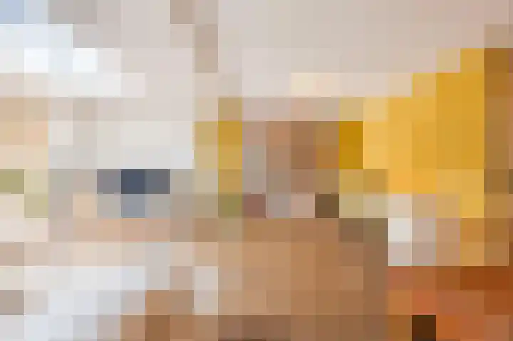 Schepenhoek 327 Uden thumbnail 12