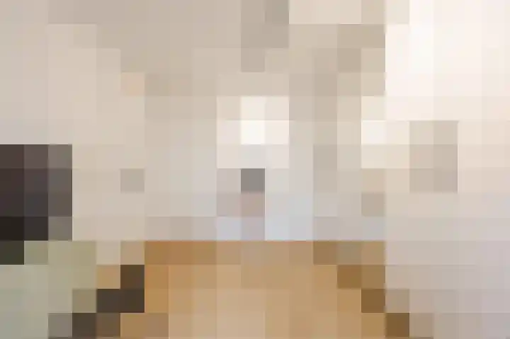 Schepenhoek 327 Uden thumbnail 21