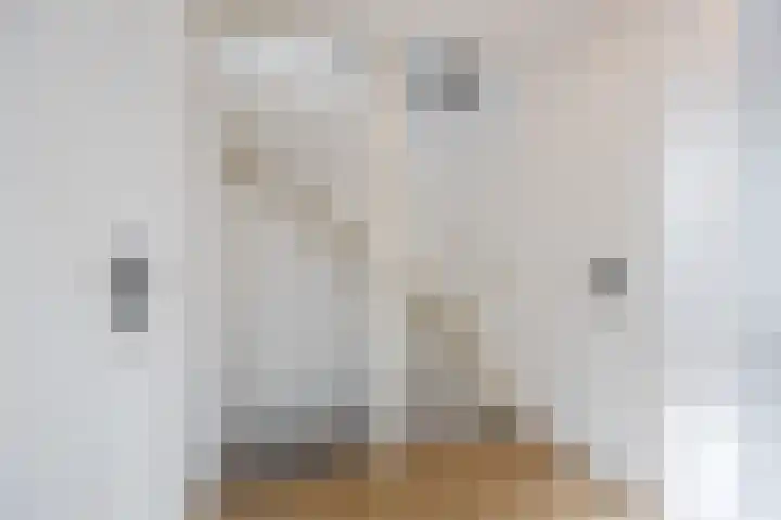 Schepenhoek 327 Uden thumbnail 31