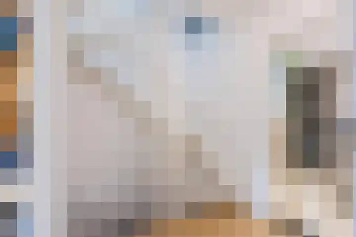 Schepenhoek 327 Uden thumbnail 32