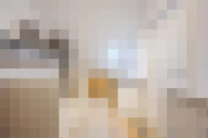 Schepenhoek 327 Uden thumbnail 34