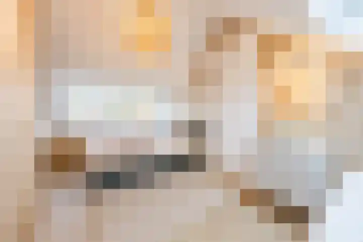 Schepenhoek 327 Uden thumbnail 36