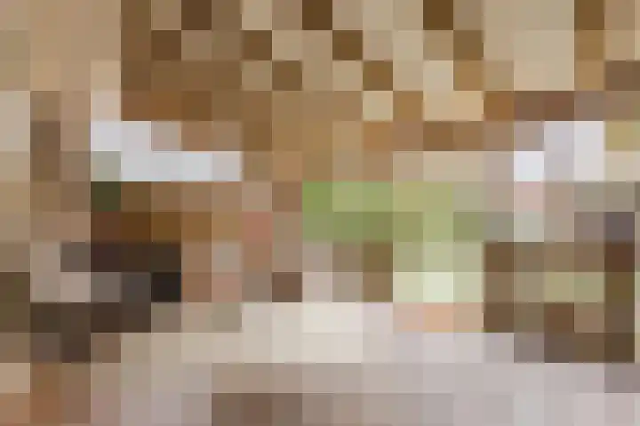 Schepenhoek 327 Uden thumbnail 38