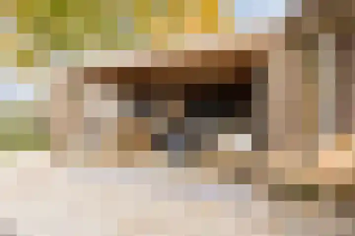 Schepenhoek 327 Uden thumbnail 43