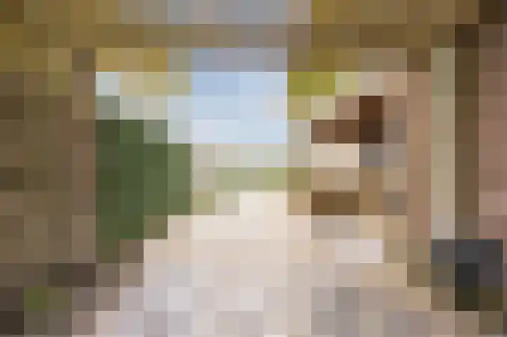 Schepenhoek 327 Uden thumbnail 44