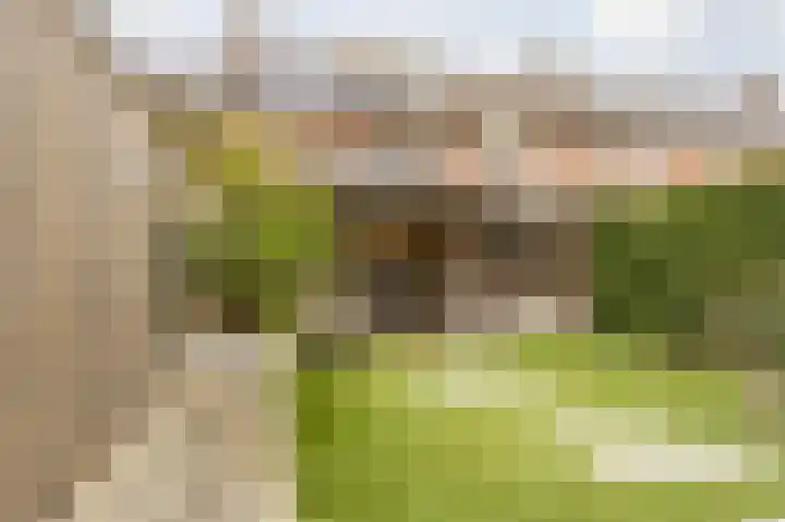 Schepenhoek 327 Uden thumbnail 45
