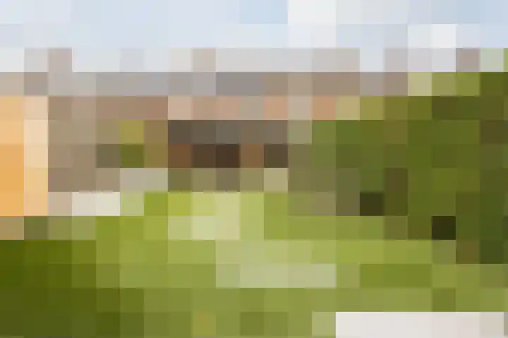 Schepenhoek 327 Uden thumbnail 46