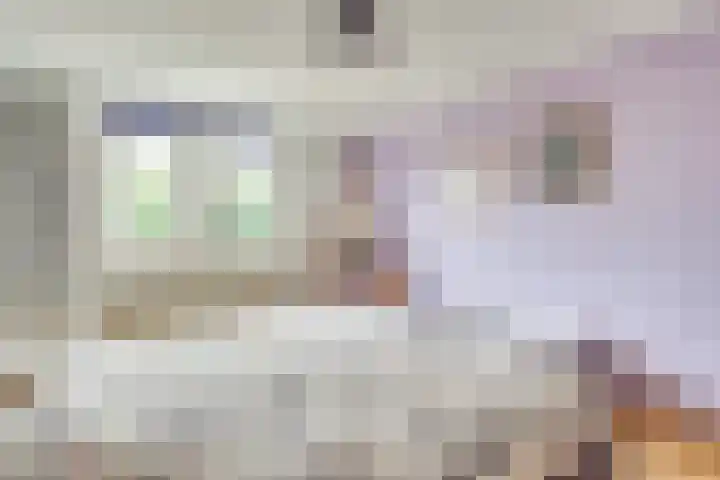 Schepenhoek 330 Uden thumbnail 12