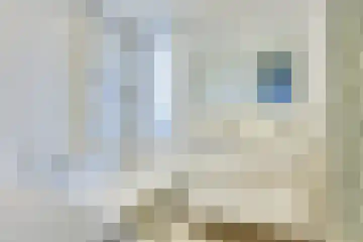 Schepenhoek 330 Uden thumbnail 16