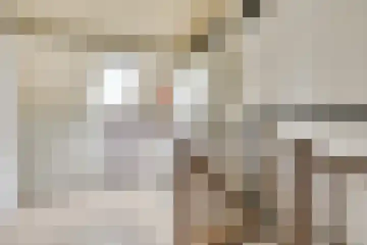 Schepenhoek 330 Uden thumbnail 18