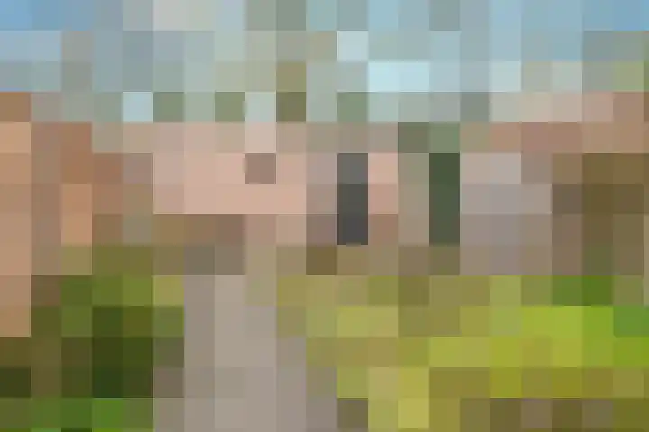 Schepenhoek 330 Uden thumbnail 24