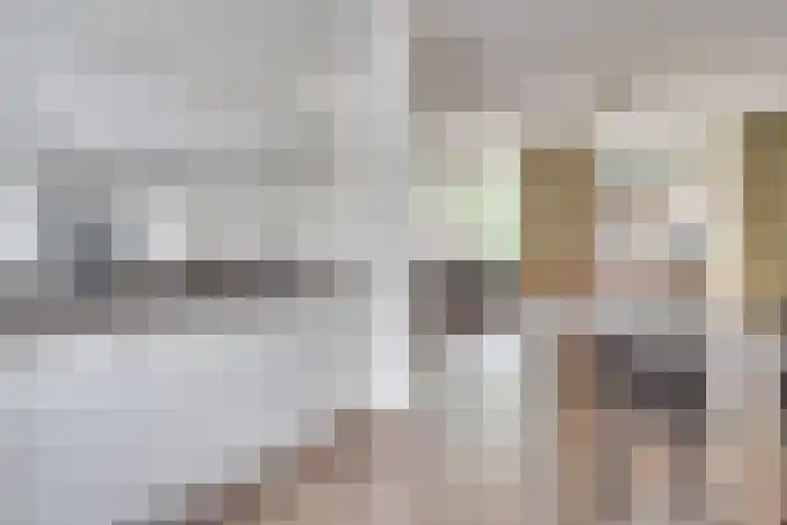 Schepenhoek 338 Uden thumbnail 14