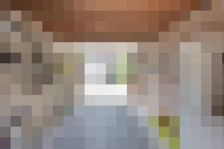 Schepenhoek 338 Uden thumbnail 25