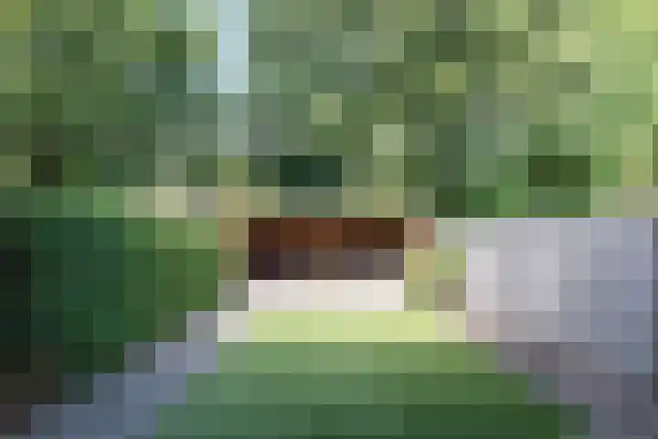 Schepenhoek 338 Uden thumbnail 6