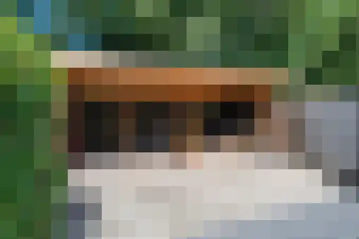 Schepenhoek 338 Uden thumbnail 7