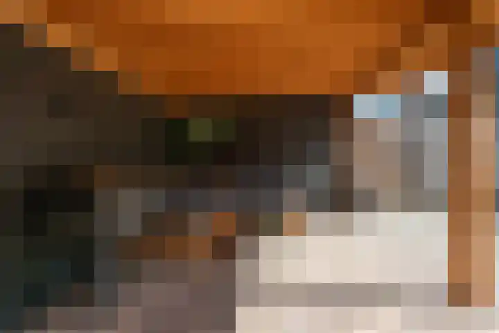 Schepenhoek 338 Uden thumbnail 8