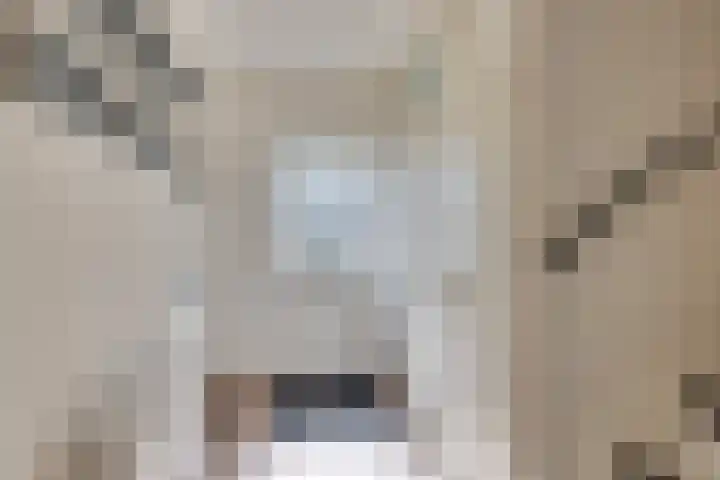 Schepenhoek 338 Uden thumbnail 9