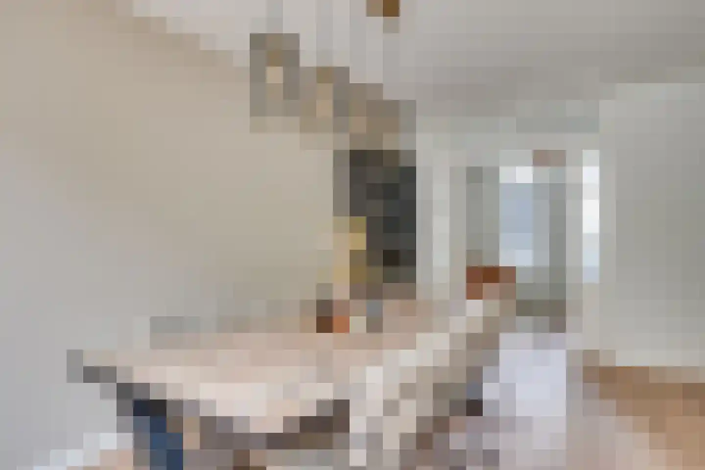 Schepenhoek 362 Uden thumbnail 15