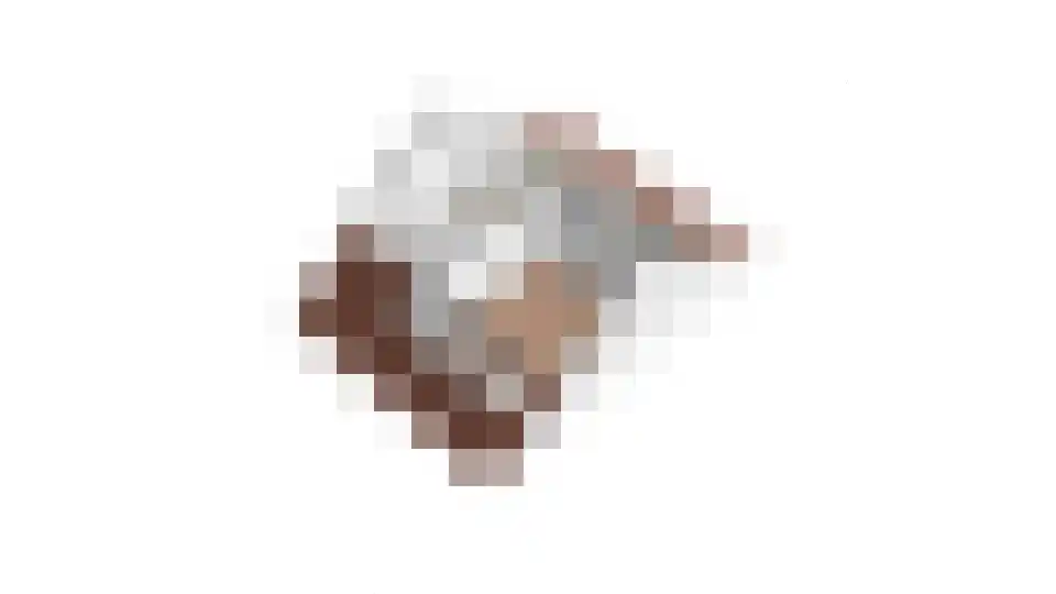 Schepenhoek 362 Uden thumbnail 36