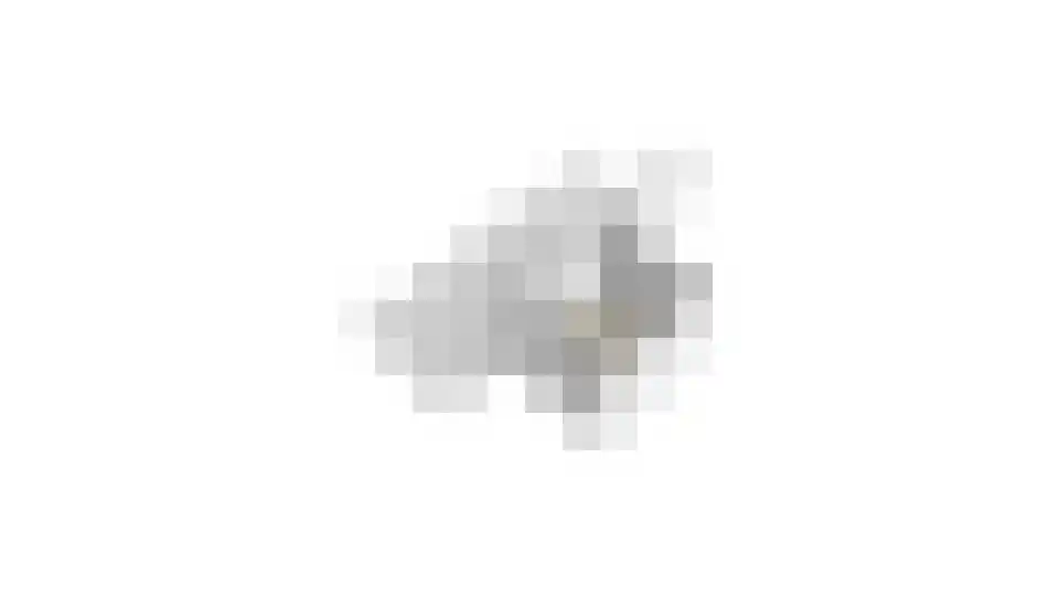 Schepenhoek 362 Uden thumbnail 38