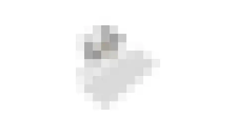 Schepenhoek 362 Uden thumbnail 39