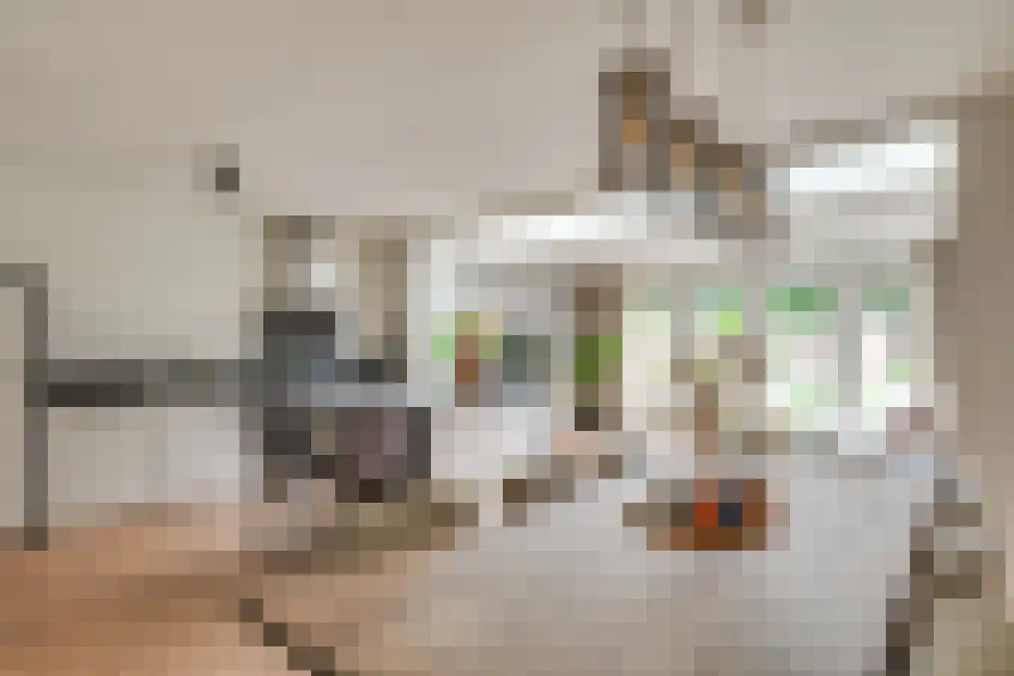 Schepenhoek 362 Uden thumbnail 5