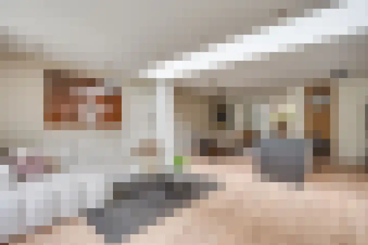 Schepenhoek 362 Uden thumbnail 6