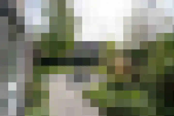 Schepenlaan 1 Asperen thumbnail 30