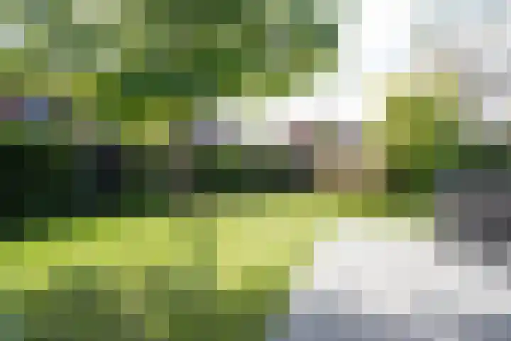 Schepenlaan 1 Asperen thumbnail 32