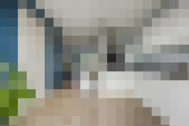 Schepenlaan 10 Terneuzen thumbnail 15