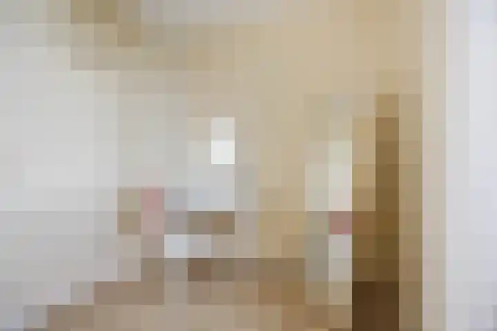 Schepenlaan 10 Terneuzen thumbnail 22