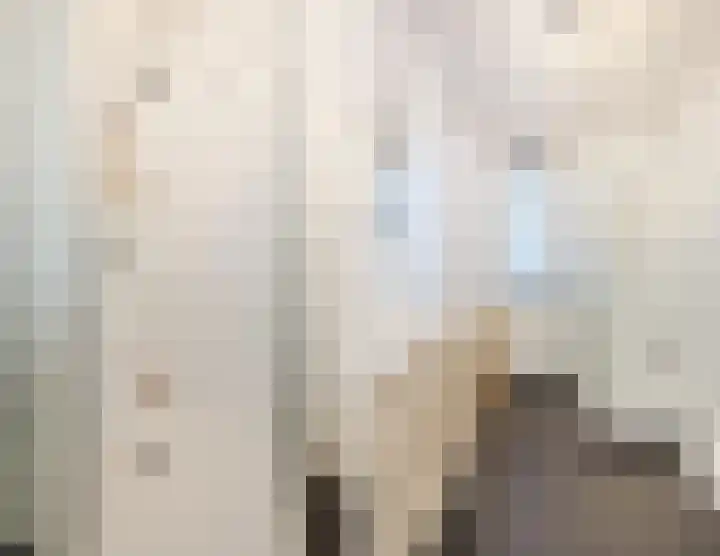Schepenlaan 10 Terneuzen thumbnail 24