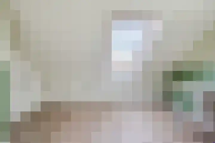Schepenlaan 10 Terneuzen thumbnail 28