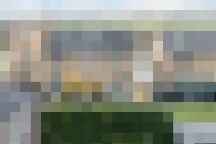 Schepenlaan 10 Terneuzen thumbnail 36