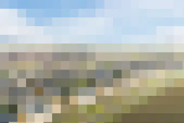 Schepenlaan 10 Terneuzen thumbnail 37