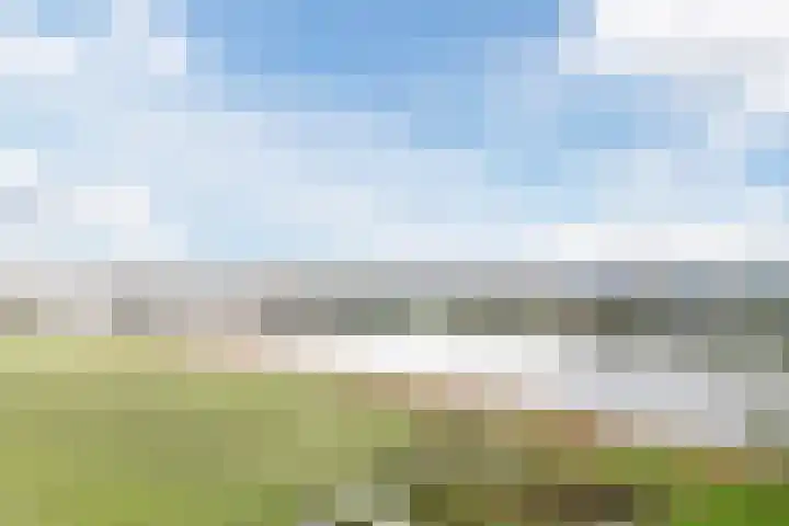 Schepenlaan 10 Terneuzen thumbnail 38