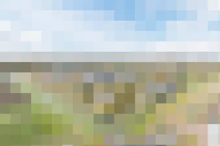 Schepenlaan 10 Terneuzen thumbnail 39